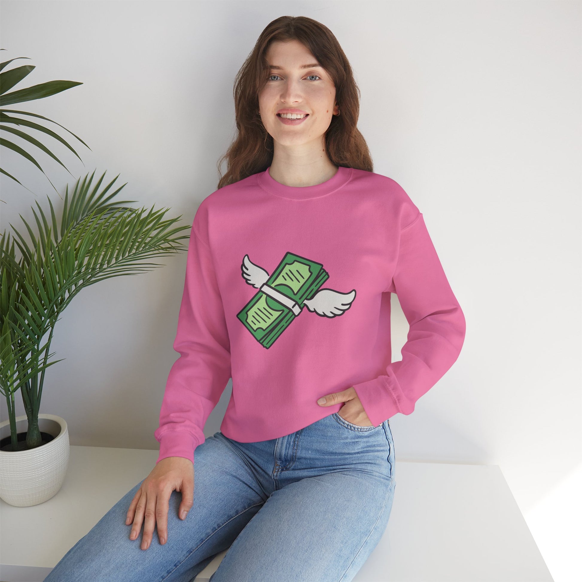 Unisex Stack The Cash Sweatshirt (Money stacks) Sleek Tee