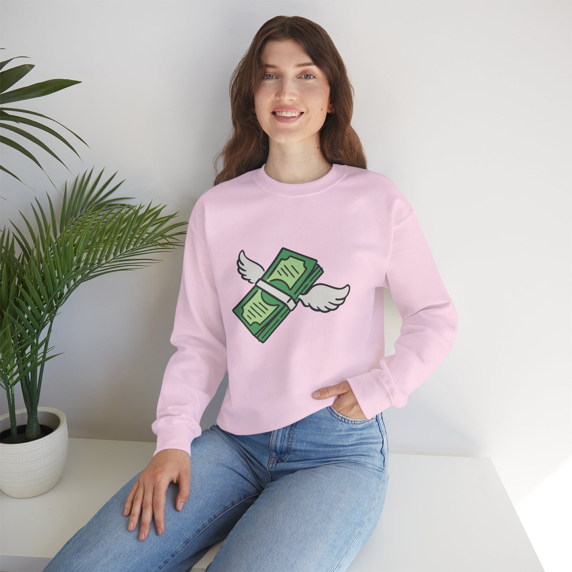 Unisex Stack The Cash Sweatshirt (Money stacks) Sleek Tee